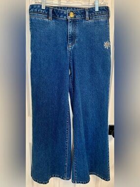 Anthro/Urban Outf. Denim Jeans with Daisy/Strwbry Embroidery SAMPLE Size 28